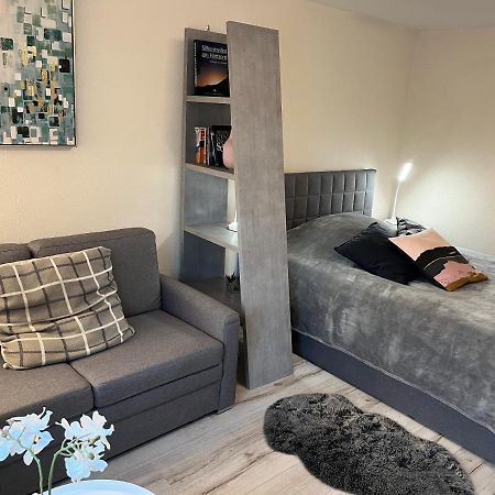 Alice Apartment Wackernheim Ingelheim am Rhein Εξωτερικό φωτογραφία