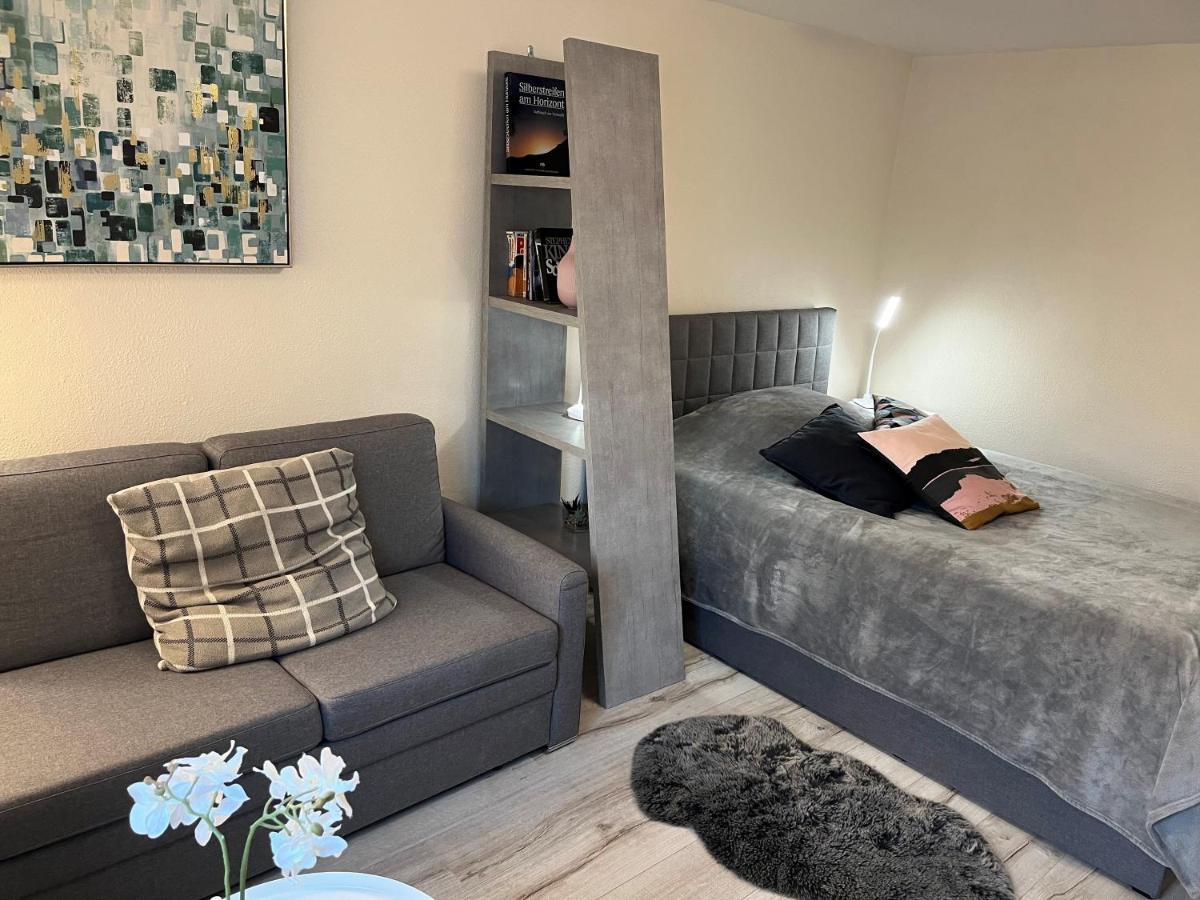 Alice Apartment Wackernheim Ingelheim am Rhein Εξωτερικό φωτογραφία