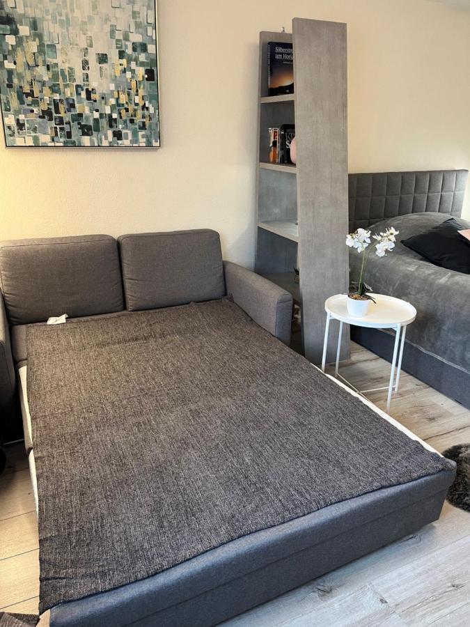 Alice Apartment Wackernheim Ingelheim am Rhein Εξωτερικό φωτογραφία